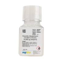 MP  091670249  双抗青-链霉素