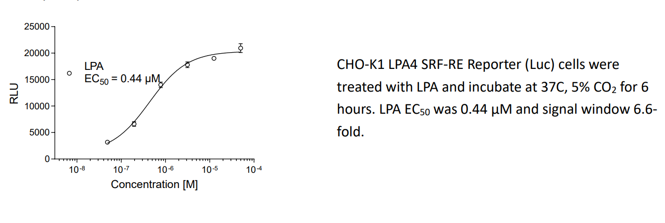 LPA受体：生物学与肿瘤治疗中的多面角色
