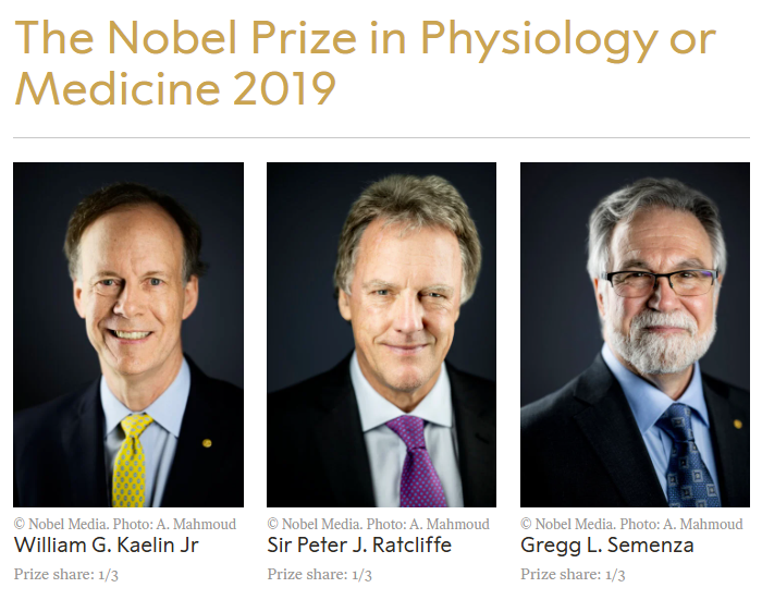 获得诺奖的HIF？！HUABIO月度精选 | 七月推荐：HIF-1 alpha信号通路