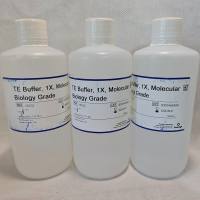 Promega V6232 TE Buffer, 1X, Molecular Biology Grade TE 缓冲液，1X，分子生物学级 500ml