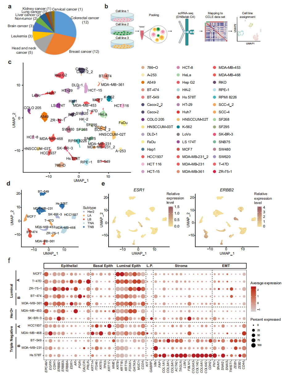 文献解读 | 单细胞多组学揭示人类癌细胞系的细胞异质性