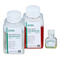 ProGro™ MSC KIT 间充质干细胞无血清 培养试剂盒