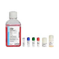 LONZA  CC-3124  EGM内皮细胞培养基套装(CC-3121+CC-4133)