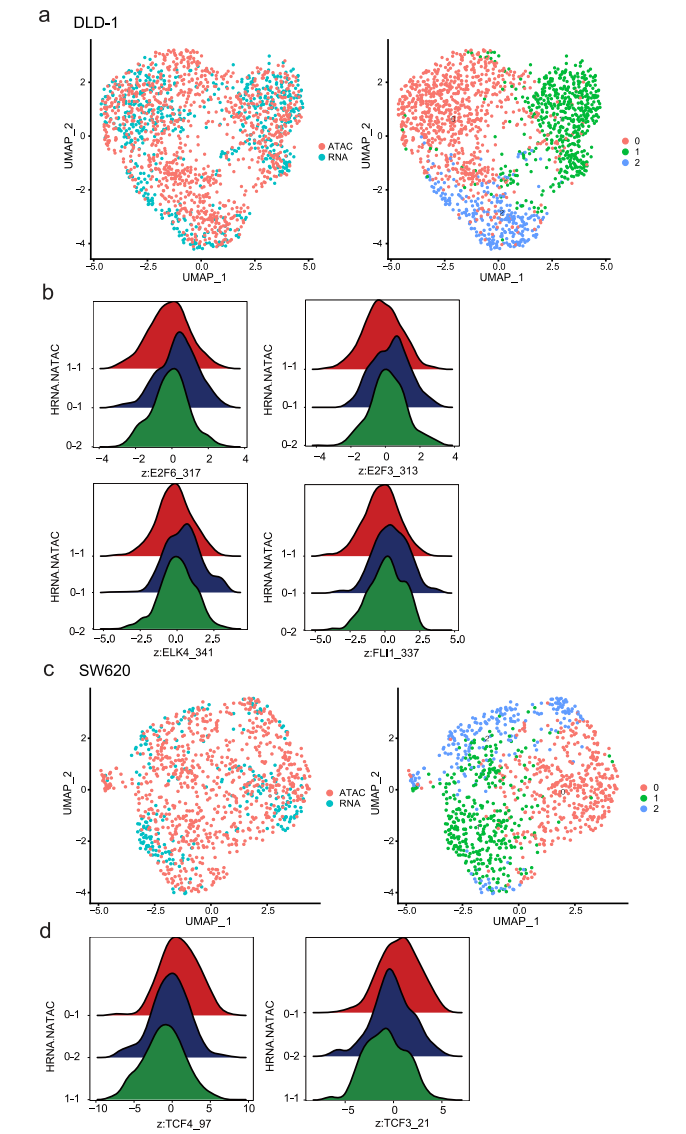 文献解读 | 单细胞多组学揭示人类癌细胞系的细胞异质性