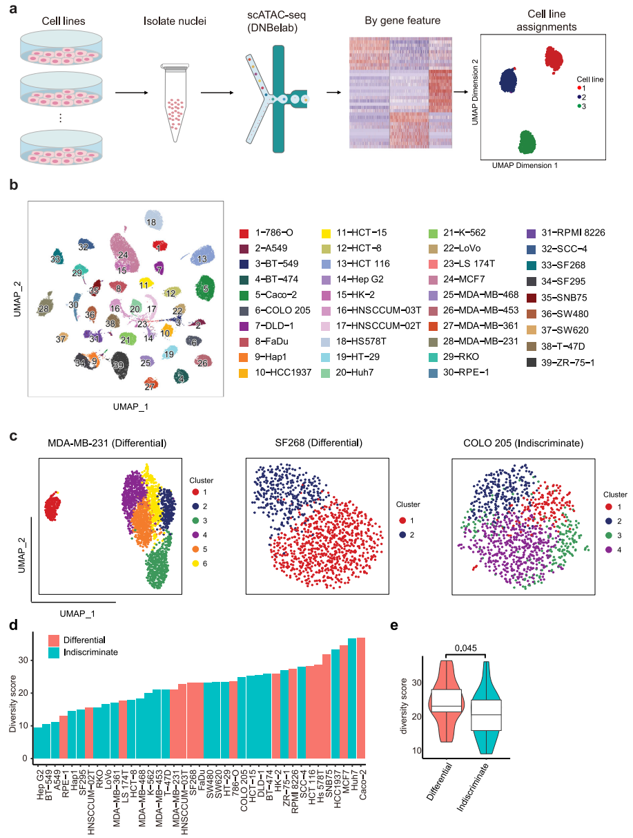 文献解读 | 单细胞多组学揭示人类癌细胞系的细胞异质性