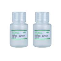 ProGro™ 293RA 293蛋白表达增强剂