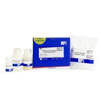 MP  116538050  PCR产物/胶回收试剂盒