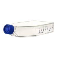ThermoFisher 156800 Nunc T75 Easyflask培养瓶，未处理表面，过滤盖