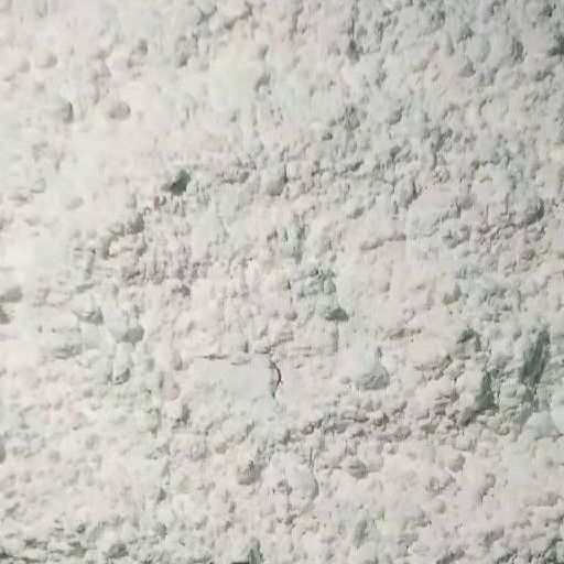 阿索本原料 封闭针 养殖户封闭用