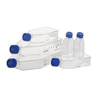 ThermoFisher 156340/156367 Easyflask易用培养瓶,25cm2,密封盖/透气盖