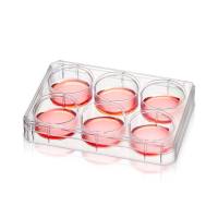 ThermoFisher 150239/150200/144530/150787 Nunc 6孔/12孔/24孔/48孔细胞培养板,未处理表面,聚苯乙烯,带盖