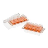 ThermoFisher 155361/155380/155383/155411 Lab-Tek腔室盖玻片，1孔/2孔/4孔/8孔，已灭菌