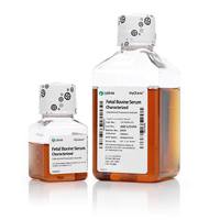 Hyclone  SV30208.02  优级胎牛血清 澳大利亚来源