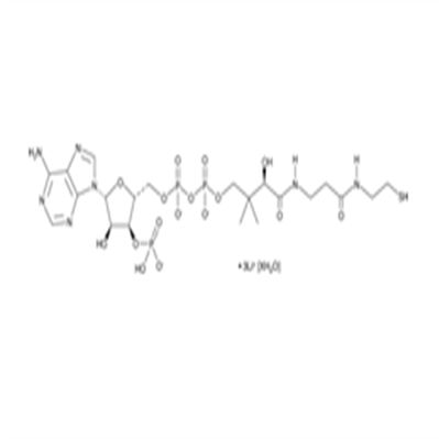 Coenzyme A (lithium salt hydrate)