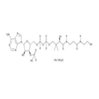 Coenzyme A (lithium salt hydrate)