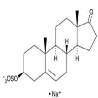 Dehydroepiandrosterone Sulfate (sodium salt)
