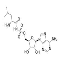 Leu-AMS R enantiomer