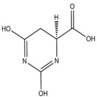 L-Dihydroorotic acid