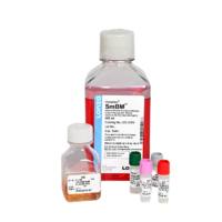 LONZA  CC-3181 CC-3182  SmBM平滑肌细胞基础培养基/ SmGM-2平滑