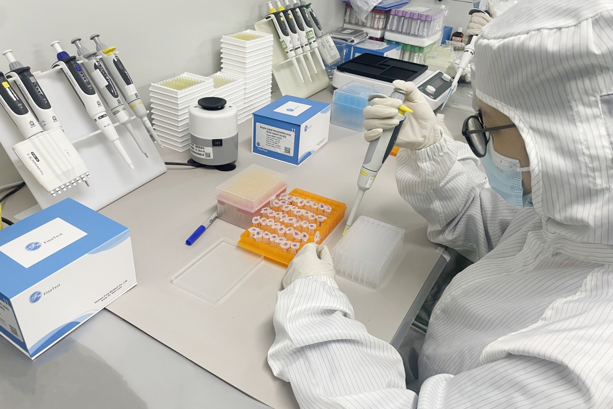 武汉菲恩生物科技有限公司全国招商