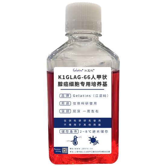 K1GLAG-66人甲状腺癌细胞专用培养基