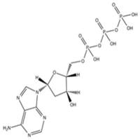 Deoxyadenosine 5-triphosphate