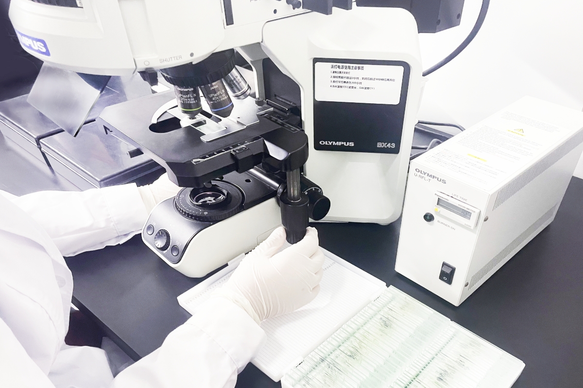 武汉菲恩生物科技有限公司全国招商