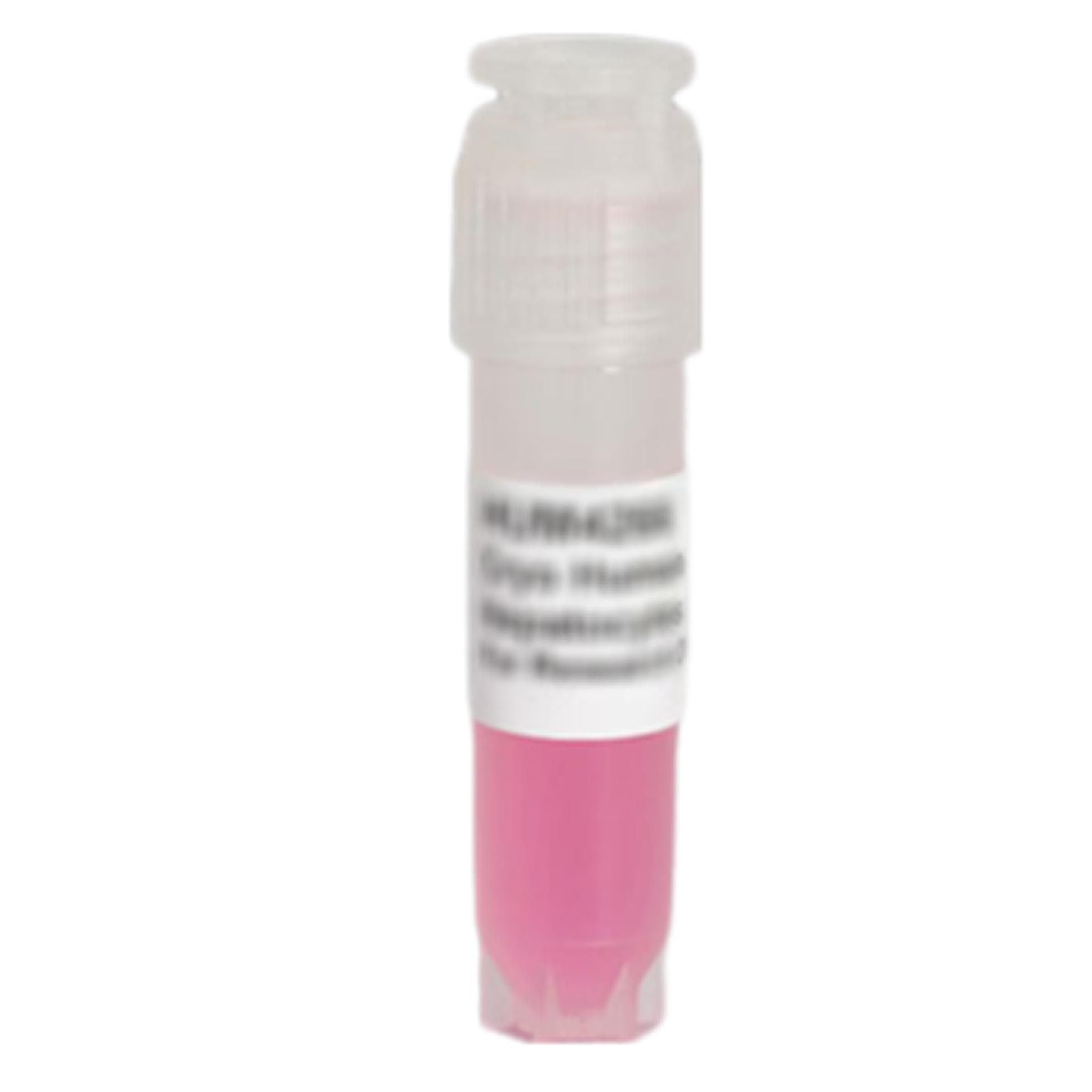 LONZA  HUCS10P  人肝脏细胞 10供体混合 悬浮培养