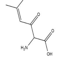 3-Methylcrotonyl Glycine