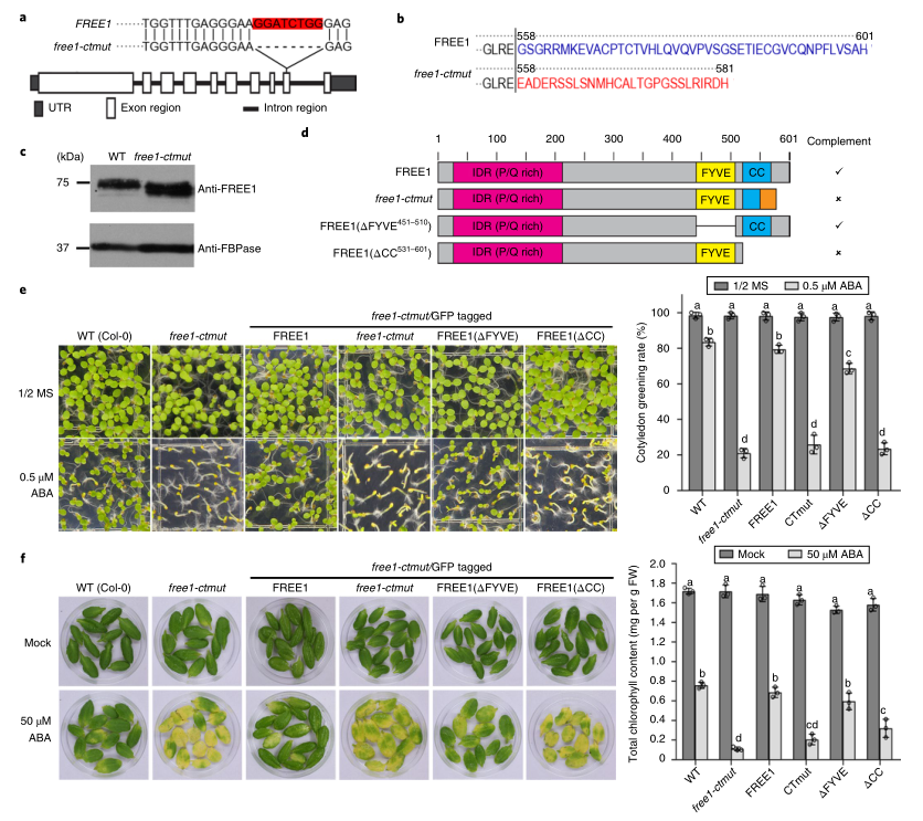 IP-MS/MS磷酸化位点检测-IF=17.352客户高分文献-辉骏生物