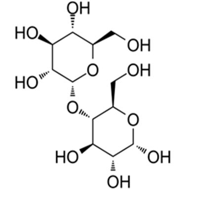 Maltose