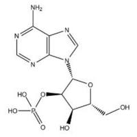 Adenosine 2′-monophosphate