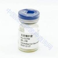 北京棒杆菌	bio-51799	