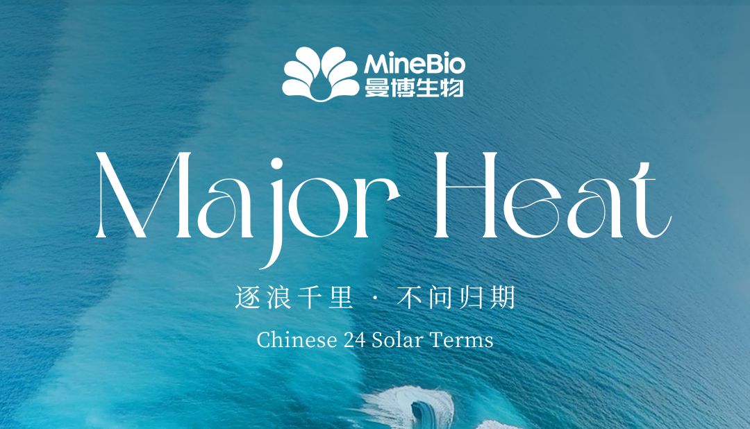 今日大暑 | 逐浪千里，不问归期