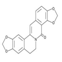 8-Oxycoptisine