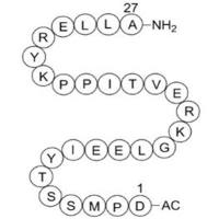 Acetyl-Calpastatin (184-210) (human)