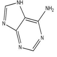 Adenine
