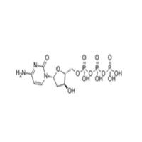 Deoxycytidine triphosphate (dCTP)