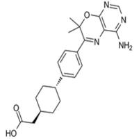 DGAT-1 inhibitor