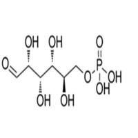 D-Glucose 6-Phosphate