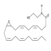 (±)10(11)-EDP Ethanolamide