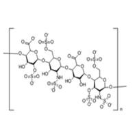 Heparan Sulfate