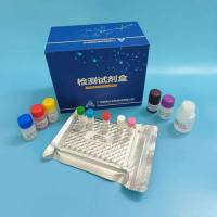 人胆囊收缩素/肠促胰酶肽（CCK）ELISA检测试剂盒
