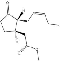 (±)-Jasmonic Acid methyl ester