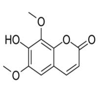 Isofraxidin