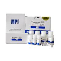 MP  116561050  土壤基因组DNA提取试剂盒（磁珠法）