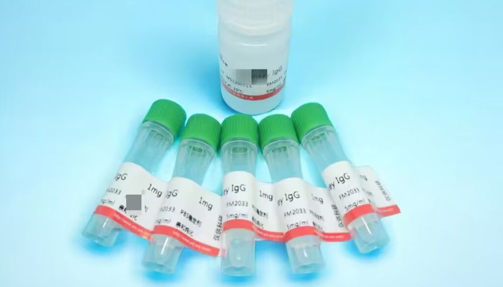 单克隆抗体VS多克隆抗体的异同解读