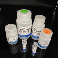 2-Hydroxy-3-morpholinopropanesulfonic acid