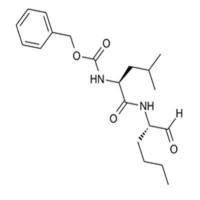 Calpeptin