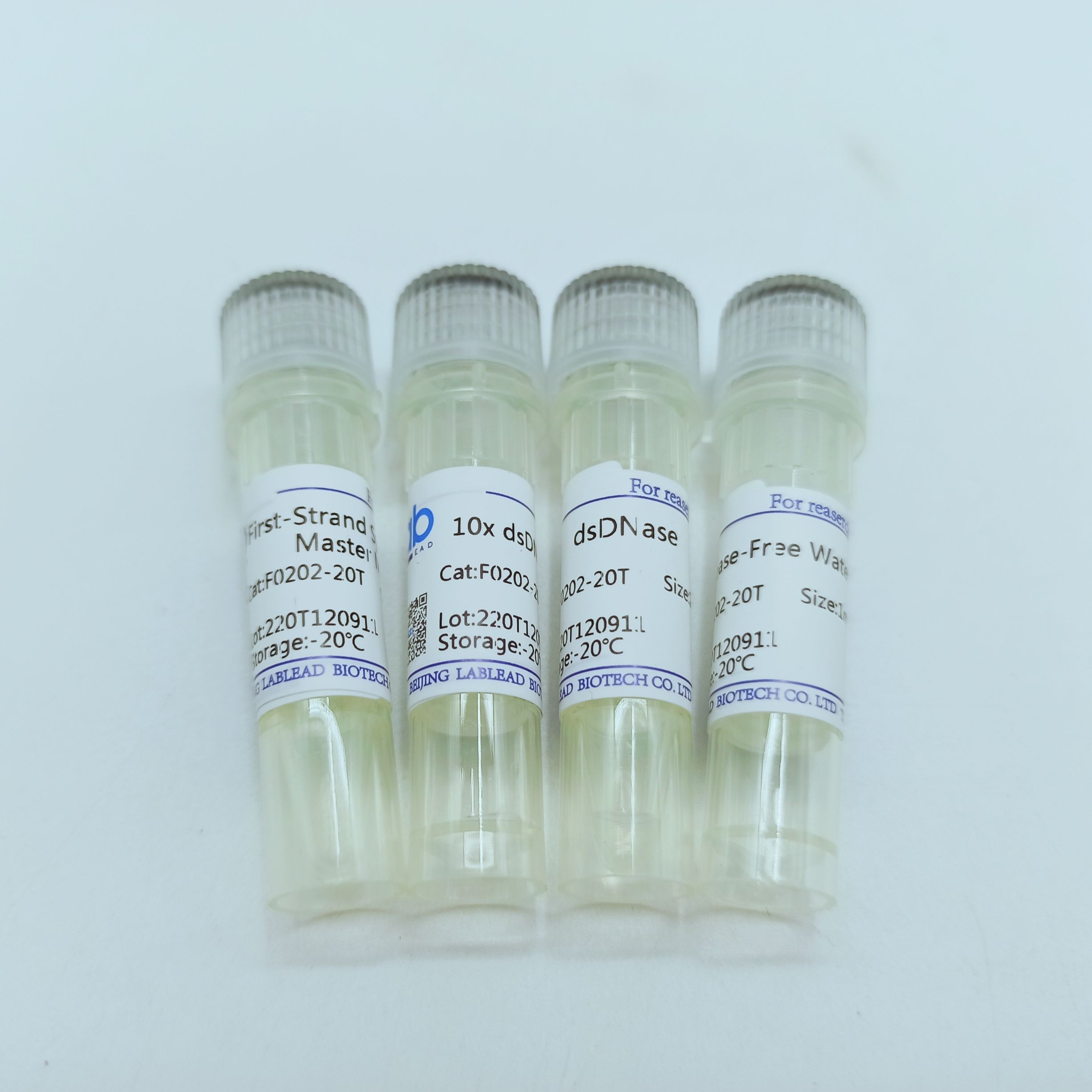 反转录试剂盒，独立引物